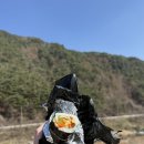 인월분식 이미지