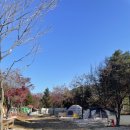 울타리천국 이미지