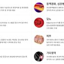 주식회사 제이비케이 이미지