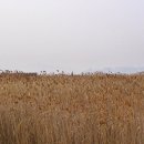 금강올레길 이미지