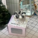 대구감삼초등학교 | 대구주문제작케이크 제이델링 대구달서구점 솔직후기