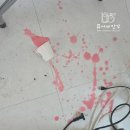 대이 초등학교 | 초등학교 인기 체험! “비누 속 꽃이 피었어요” 대이초 4학년 꿈끼주간활동 출강 후기
