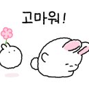 지금은 달달 이미지