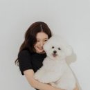 행복사랑동물병원 이미지