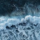 에스비팜 이미지