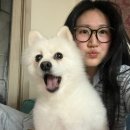 토토커피로스터스 | 신조오사사게요