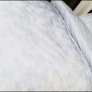 홈패션(오전) 이미지