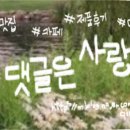 찌니네생선가게