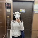 역마살 없는 사람의 분주한 5월, 🛄 출장으로 채워진 네번째 일상기록