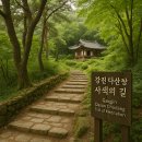 강진 바스락길 | 강진 다산초당 사색의 길, 유배지에서 피어난 사유를 따라 걷는 시간 여행