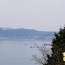 돌산솔로몬공인중개사사무소 이미지