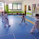 경서 태권도 이미지