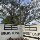 비기스톤 BIGI STONE