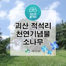 [국도34] 괴산군 적석리 네이버블로그