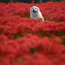 웨일 미아점 이미지