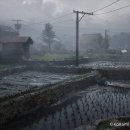 마트앤마트(공) 이미지