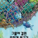 무지개 물고기 이미지