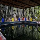 이브의정원 이미지