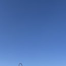 버던트 | 청도 카페 추천 - 버던트 (대형카페, 솔직후기)