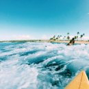 BLue(블루) 이미지