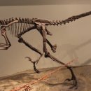 데이노니쿠스 이미지