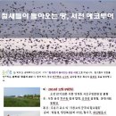 숲앤휴