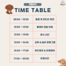 남서울펫호텔 | [서울/양천구] 펫빌리지