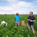 농축농장 이미지