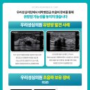 우리성심의원 이미지