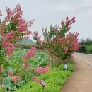 청도의 아침 이미지