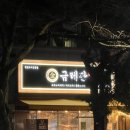 역삼2-105 | 강남역/역삼 2차 술집 추천 | 철판 불쇼 직관하며 즐기는 오꼬노미야끼 '금테판'