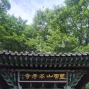 망운사 | 남해를 품은 구름의 산, 망운산에서 만난 초록 힐링