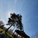 김용마을 / 생태공원 입구 이미지