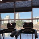 촛불조방낙지 | 23. 3월 두 번째 일상