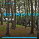 삼무공원 | 제주도 가볼맛한 곳 근린공원 삼무공원 자연경관 감상과 산책로 추천 후기