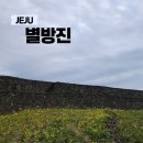 하도별방진 | 22제주도🏝 구좌 근처 가볼만한곳 :별방진: 유채꽃밭