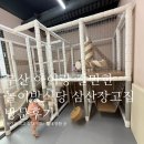 삼산장고집 | 동래 놀이방식당 삼산장고집 가본 썰 :D