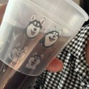 애코랜드 | [부산 해운대 애견카페 애코랜드] 배불러서 불멍x 허스키멍o 하고 온 후기