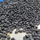 송암2농장 이미지