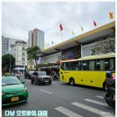 자유오토바이