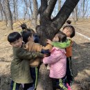 달마다 숲체험을 다녀왔어요🌳 이미지