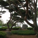 덕산중학교 이미지