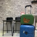 홈마트(맘모스점) | 동반가능 독채펜션] 전국에 있는 덩치만 큰 겁쟁이 멈머들 주목! 골든리트리버장군 - 디제이뭉 리얼후기