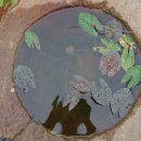 들뫼풍경 이미지