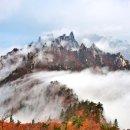 반도하숙 이미지