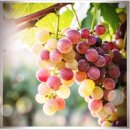 인제한의원 | [다이어트팁] 다이어트와 식욕의 상관관계, 부전동다이어트한의원