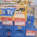 더화이트C | 다이소 보조배터리 4000 도킹형 c타입 화이트 내돈내산 후기