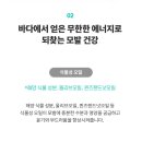 오션에너지 이미지