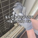 주공5단지 | 동두천방충망 송내주공5단지 비둘기 차단망 설치 후기