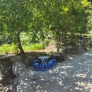 별이 쏟아지는 민박 이미지